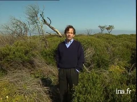 Nicolas Bouvier : le dehors et le dedans