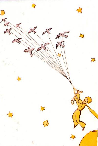 Les Metamorphoses Du Petit Prince Viabooks